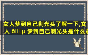 女人梦到自己剃光头了解一下,女人 🐵 梦到自己剃光头是什么意思